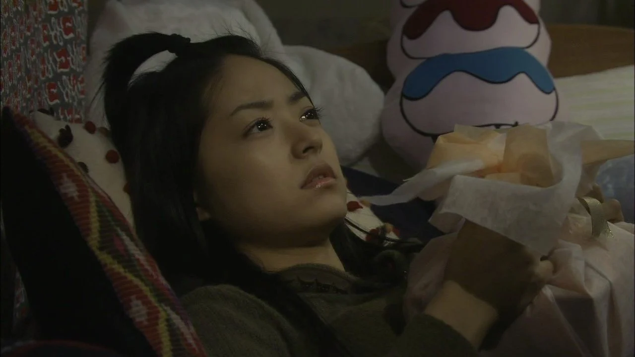 Vườn Sao Băng: Hồi Kết - Hana Yori Dango: Final (2008)