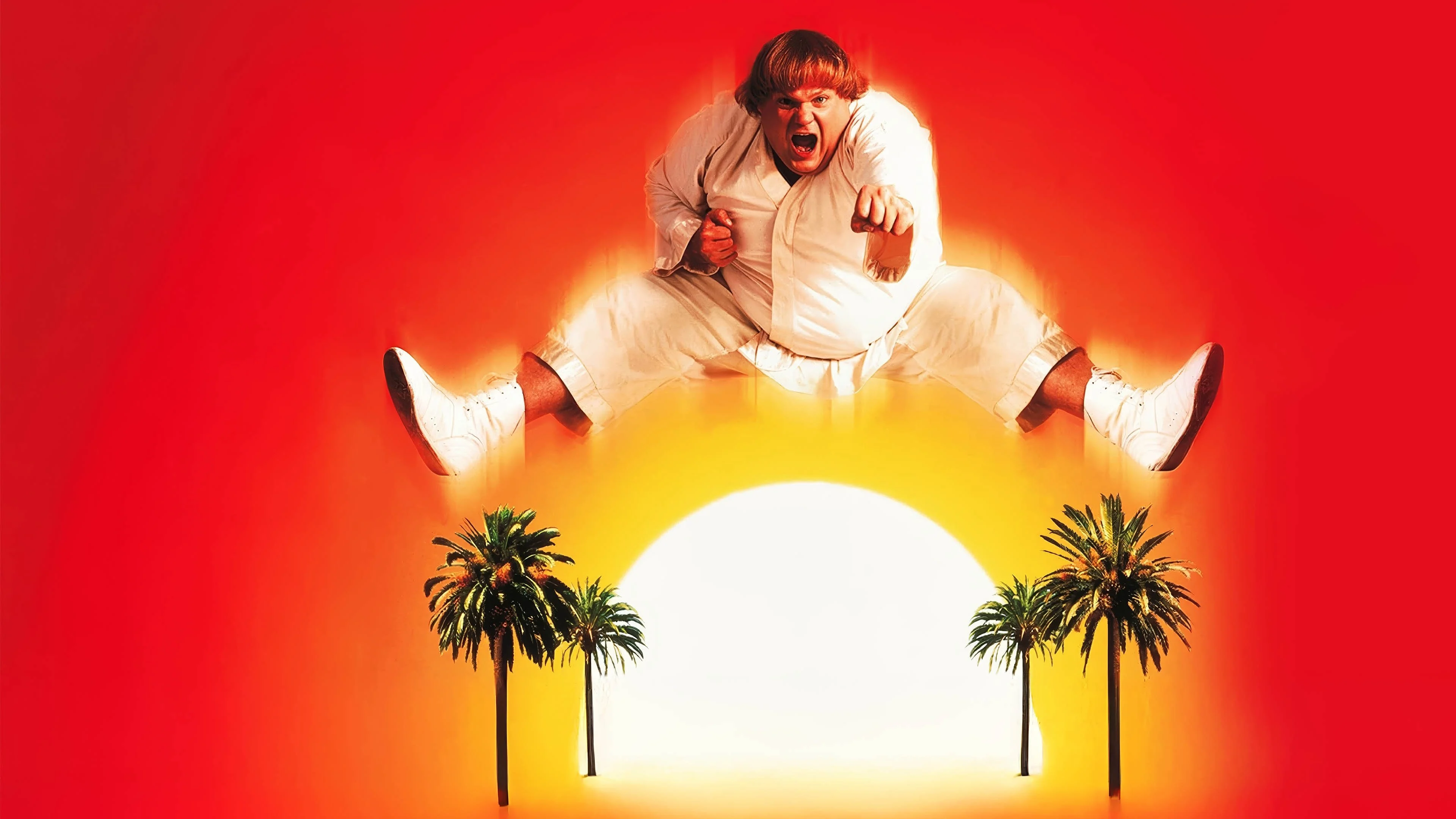 Poster phim Ninja Đồi Beverly - Beverly Hills Ninja(1997)